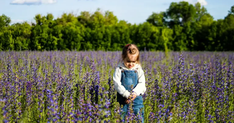 nature boy names A baby girl sitting on green grass in a sunlit park, wearing a cozy outfit and holding a leaf while looking up with curiosity.