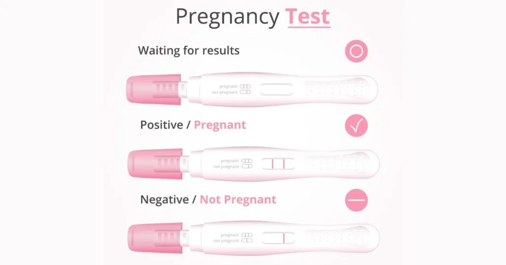 Easy home pregnancy test showing results for waiting, positive pregnant, and negative not pregnant